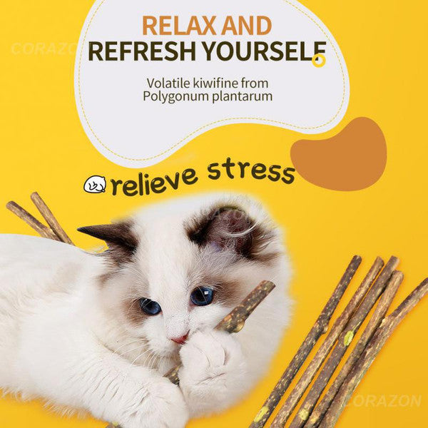 Catnip Clean Teeth Green Cat Snacks Sticks | Molar Stick Pet Supplies & Toys for Cats | Chew Toy with Natural Plants for