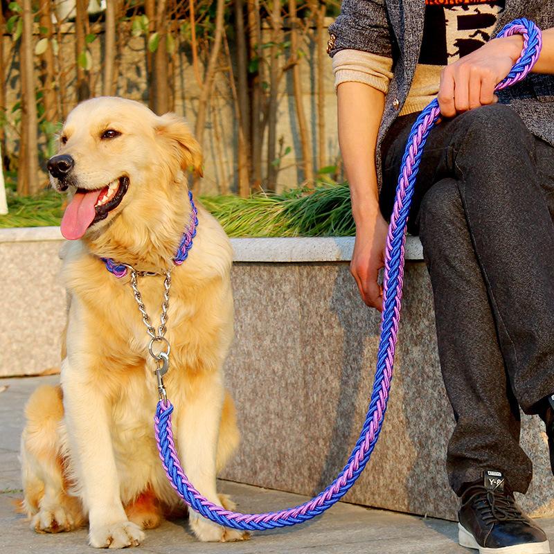 Pet Care